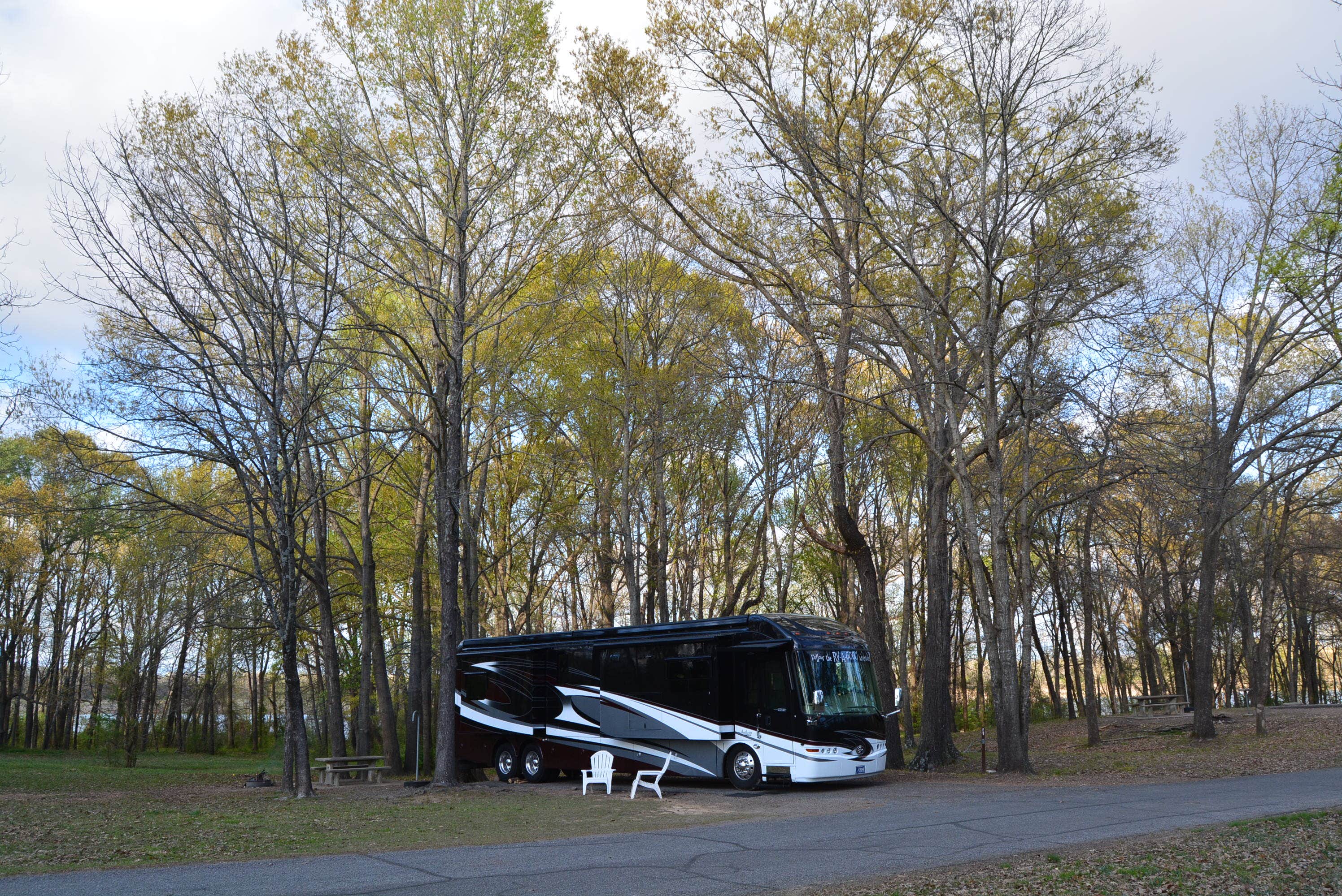 Camper submitted image from COE John Paul Hammerschmidt Lake Springhill Campground - 3