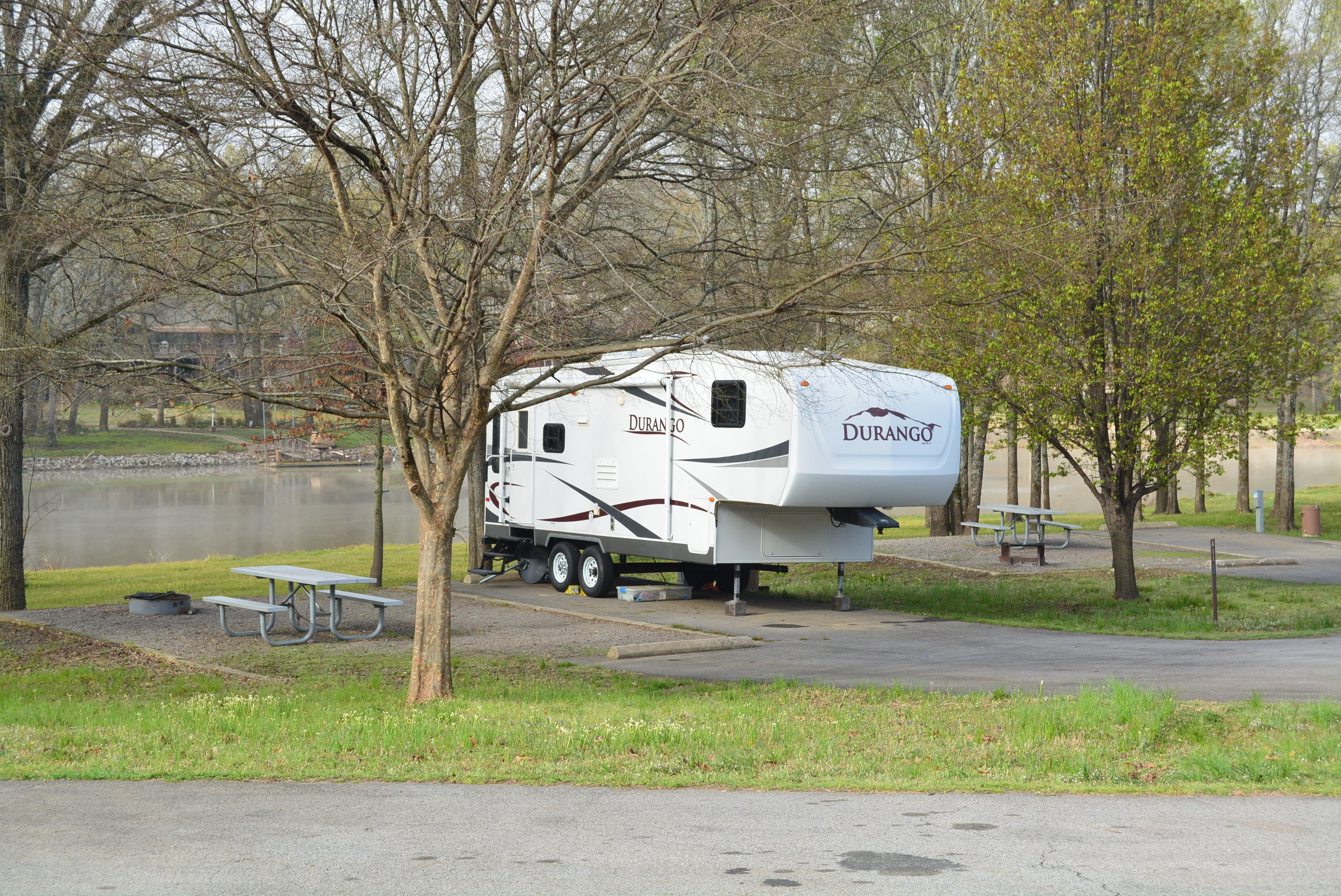 Camper submitted image from COE John Paul Hammerschmidt Lake Springhill Campground - 5
