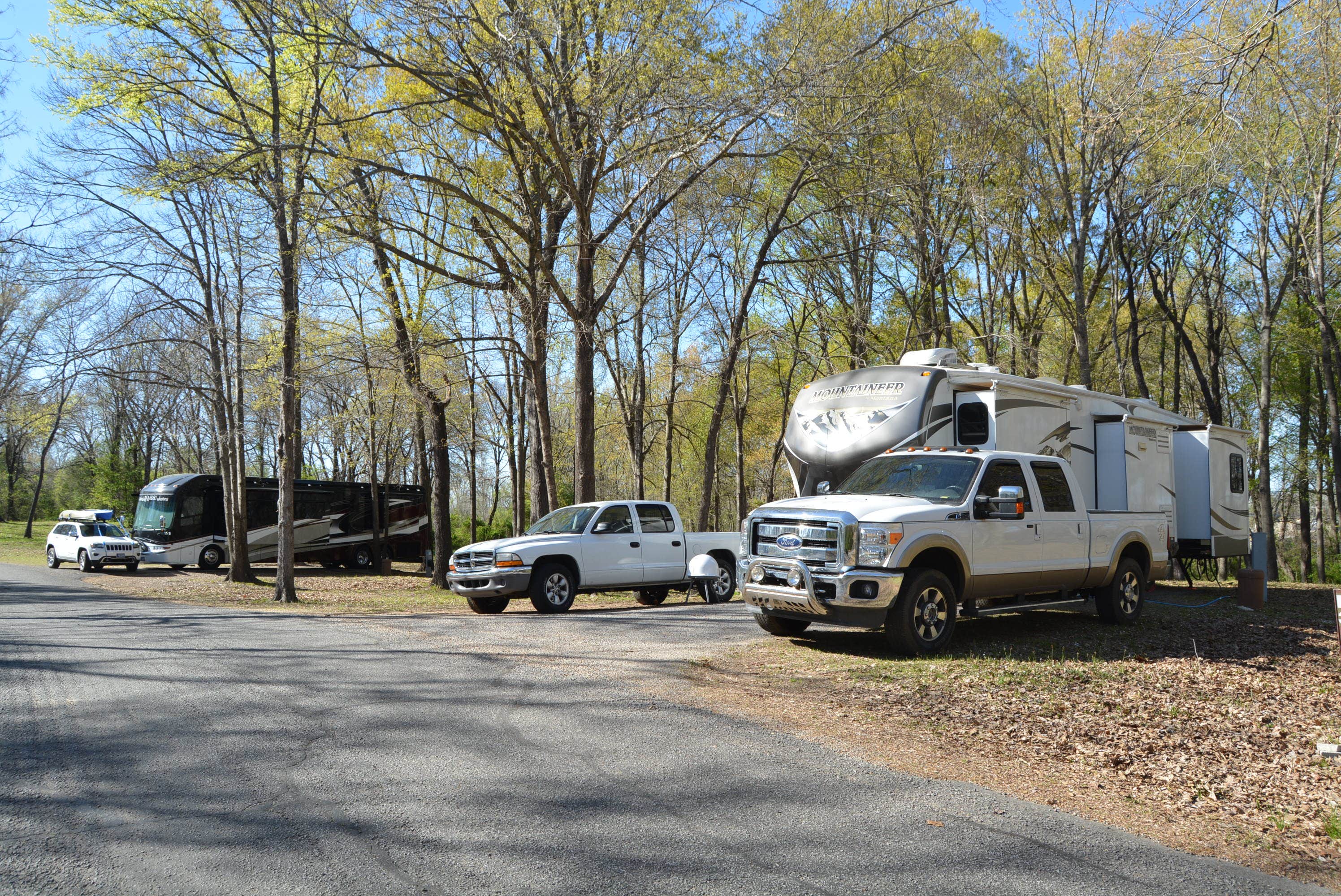 Camper submitted image from COE John Paul Hammerschmidt Lake Springhill Campground - 3