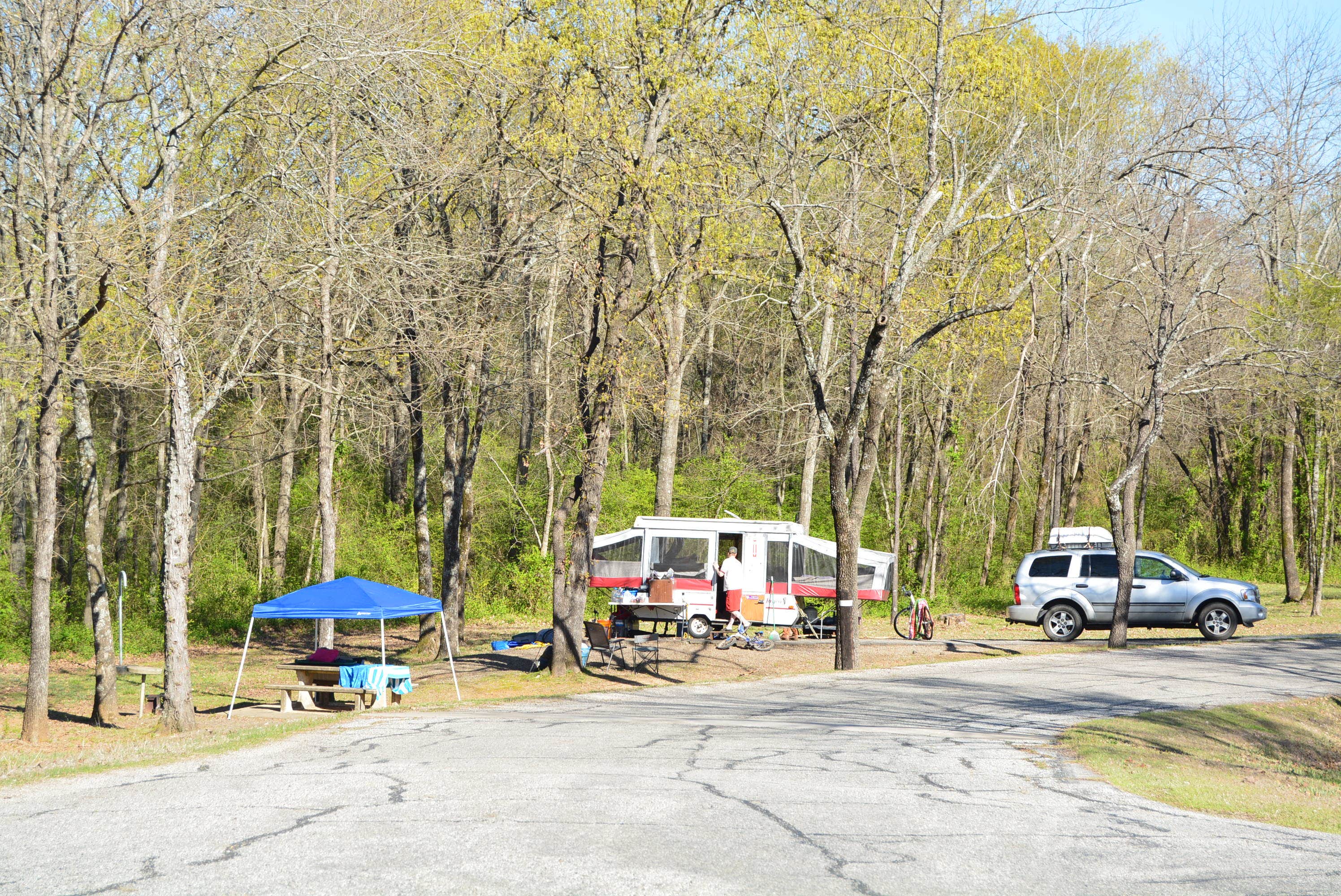 Nancy W.'s photo of tent camping at COE John Paul Hammerschmidt Lake Springhill Campground near Mansfield, AR