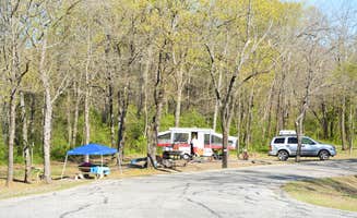 Nancy W.'s photo of tent camping at COE John Paul Hammerschmidt Lake Springhill Campground near Greenland, AR