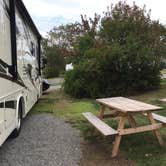 Review photo of Bar Harbor Campground by Casi O., September 15, 2017