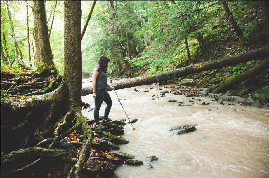 Camper-submitted photo at Oh! Pear Orchards near Fleetville, PA