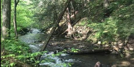 Camper submitted image from Oh! Pear Orchards