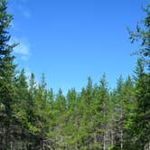 Review photo of Reed & Green Bridge State Forest Campground by Nancy W., September 15, 2017