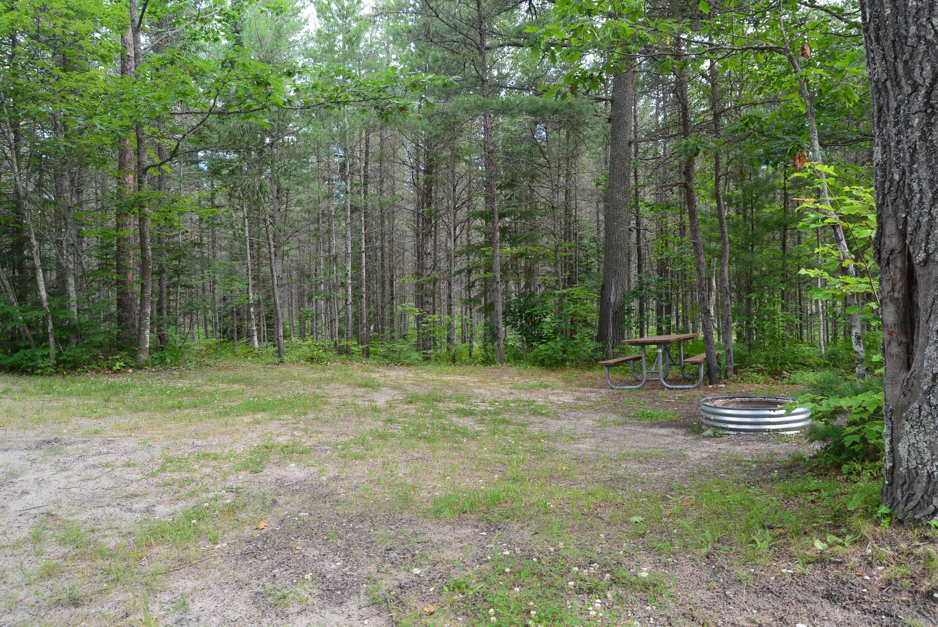 Camper-submitted photo at Reed & Green Bridge State Forest Campground near Newberry, MI