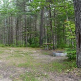 Review photo of Reed & Green Bridge State Forest Campground by Nancy W., September 15, 2017