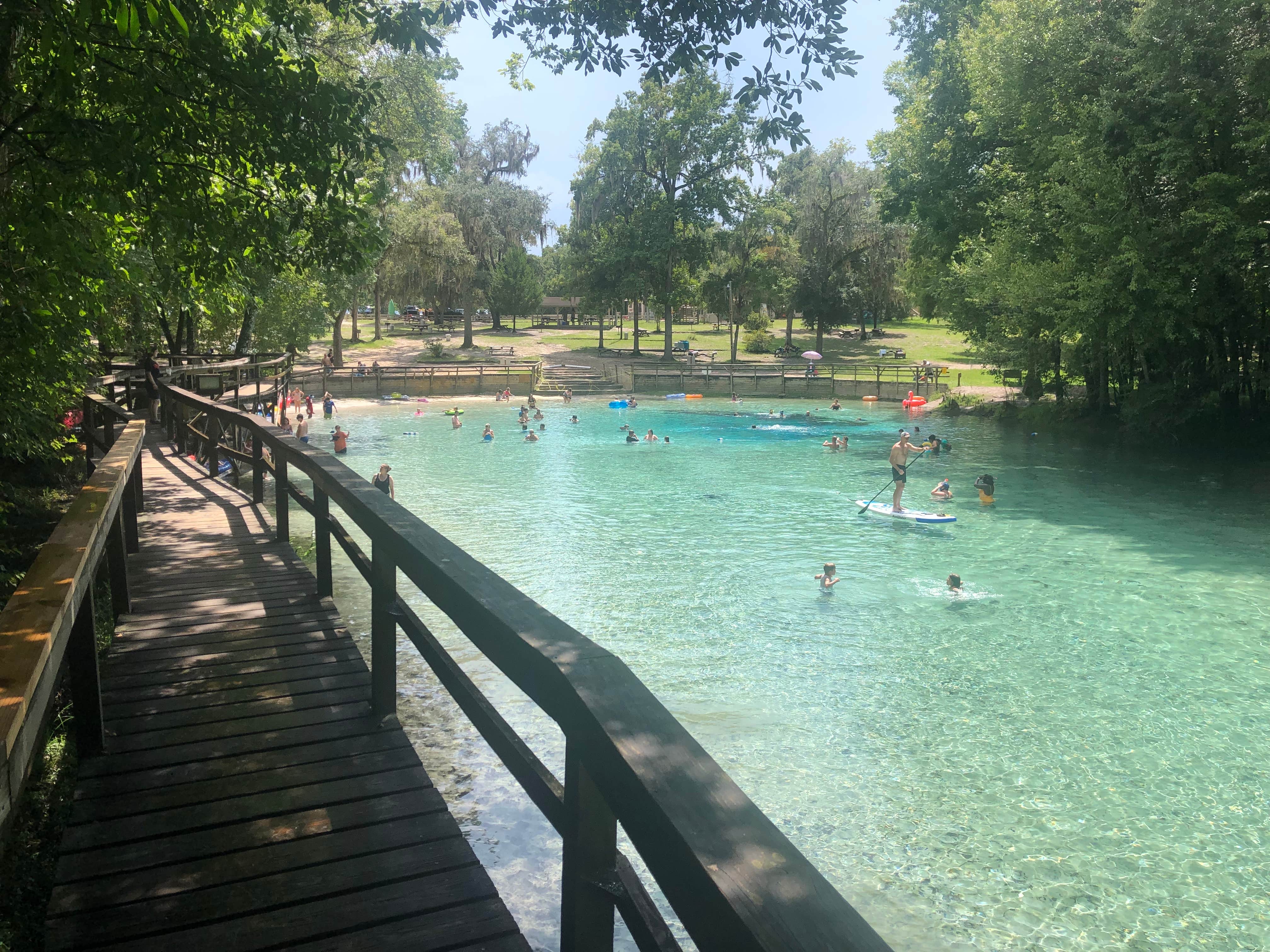 Camper submitted image from Gilchrist Blue Springs State Park Campground - 2