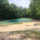 Review photo of Gilchrist Blue Springs State Park Campground by Tara “the Bear clan”  B., April 21, 2020