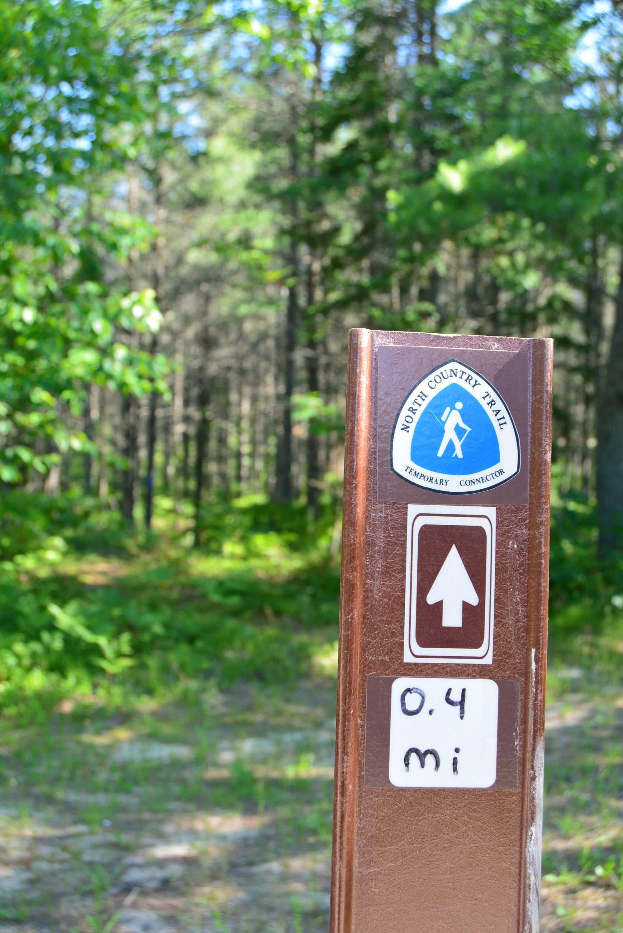Camper-submitted photo at Reed & Green Bridge State Forest Campground near Newberry, MI