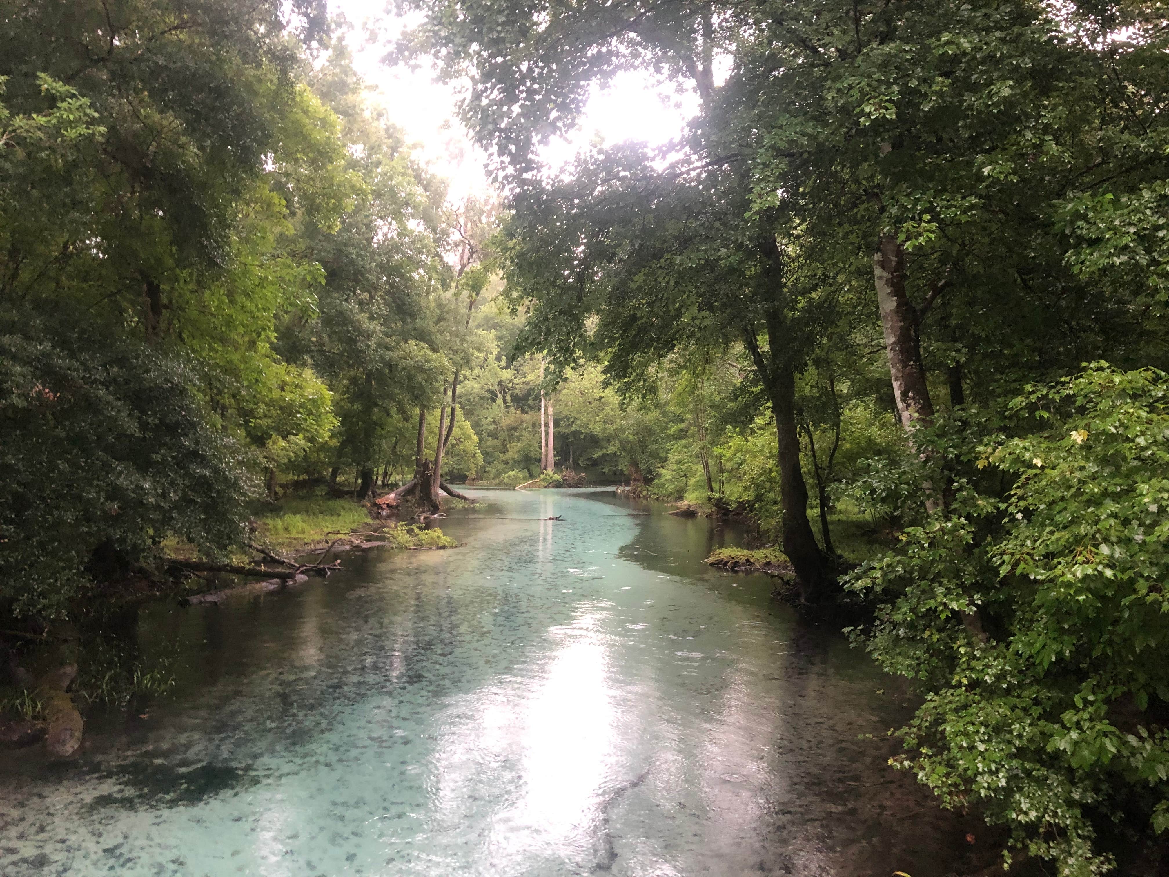 Camper submitted image from Gilchrist Blue Springs State Park Campground - 2