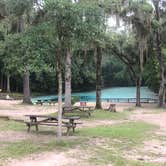 Review photo of Gilchrist Blue Springs State Park Campground by Tara “the Bear clan”  B., April 21, 2020