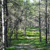 Review photo of Reed & Green Bridge State Forest Campground by Nancy W., September 15, 2017