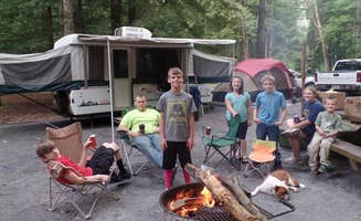Sheila B.'s photo of camping with pets at Dennis Cove Campground near Bluff City, TN