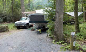 Sheila B.'s photo at Dennis Cove Campground near Milligan College, TN