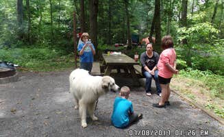 Sheila B.'s photo of camping with pets at Dennis Cove Campground near Bluff City, TN