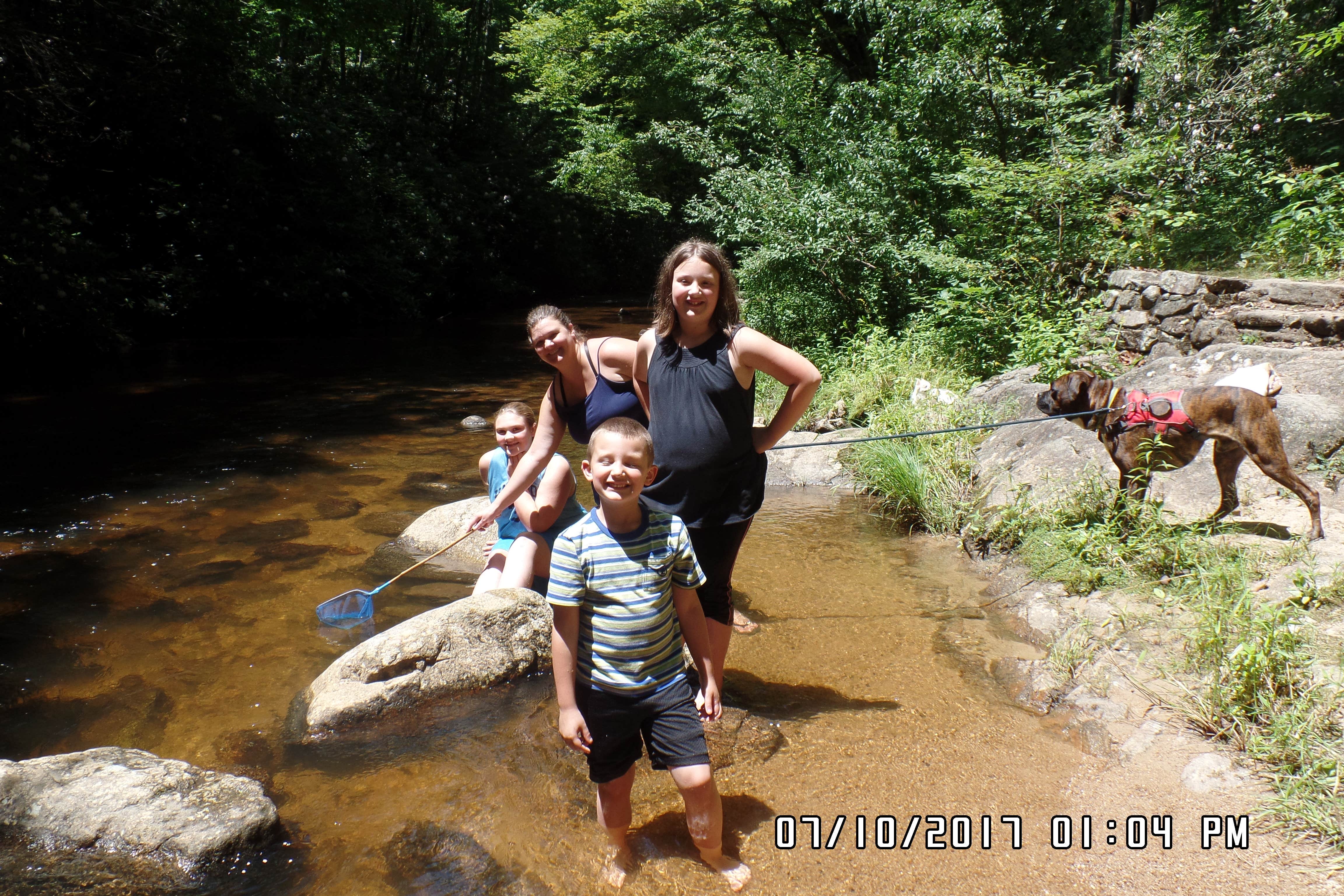 Camper-submitted photo at Dennis Cove Campground near Milligan College, TN