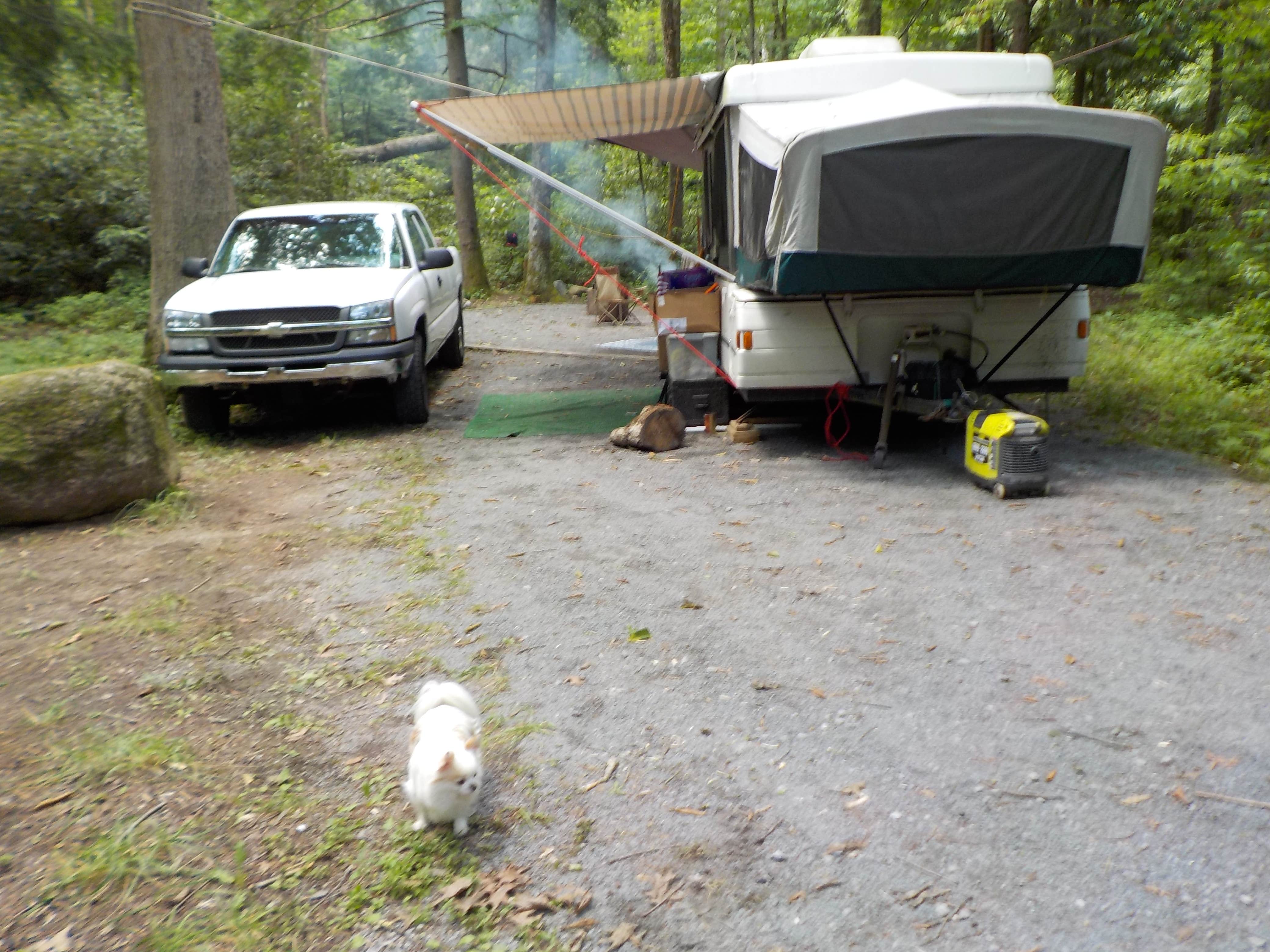 Sheila B.'s photo at Dennis Cove Campground near Unicoi, TN