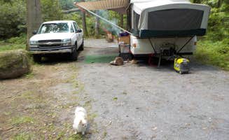 Sheila B.'s photo at Dennis Cove Campground near Butler, TN