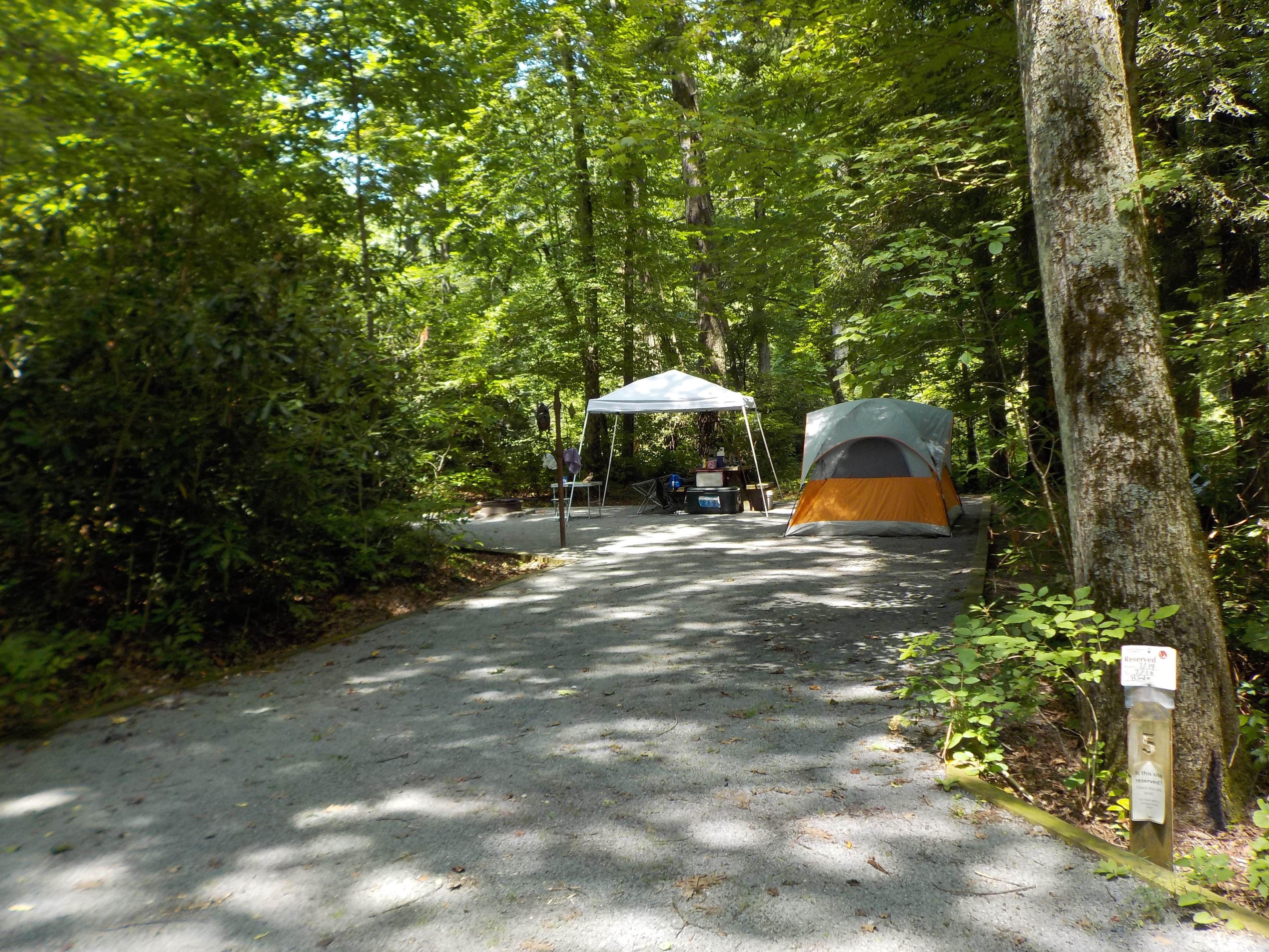 Sheila B.'s photo at Dennis Cove Campground near Elk Park, NC