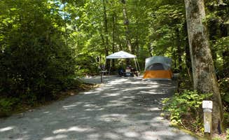 Sheila B.'s photo at Dennis Cove Campground near Hampton, TN