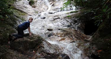 Dennis Cove Campground