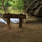 Review photo of Moccasin Branch Campground — Raven Rock State Park by Scott P., June 30, 2016