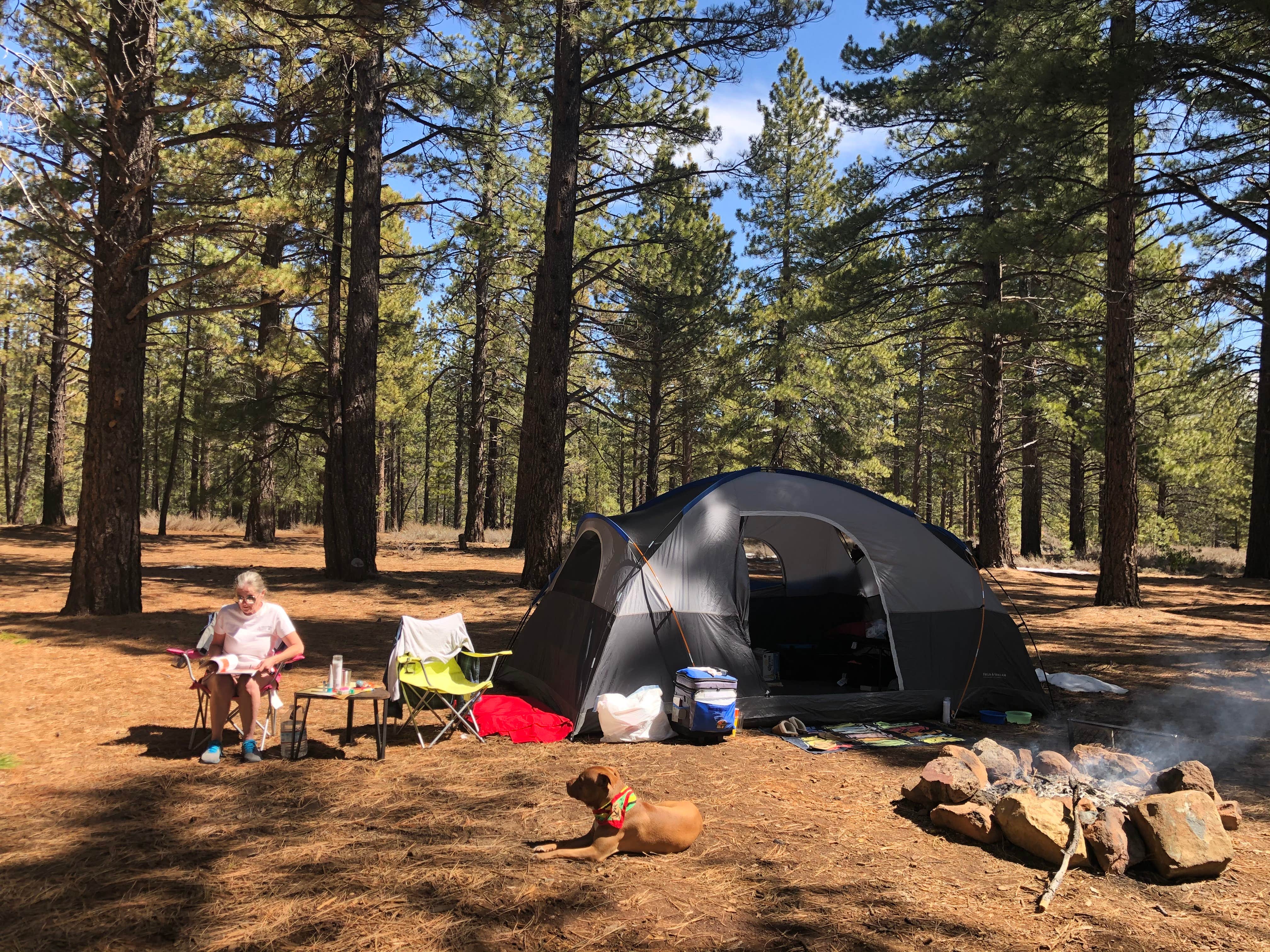 Tamara C.'s photo at Davies Creek Campground near Floriston, CA