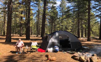 Tamara C.'s photo at Davies Creek Campground near Sun Valley, NV