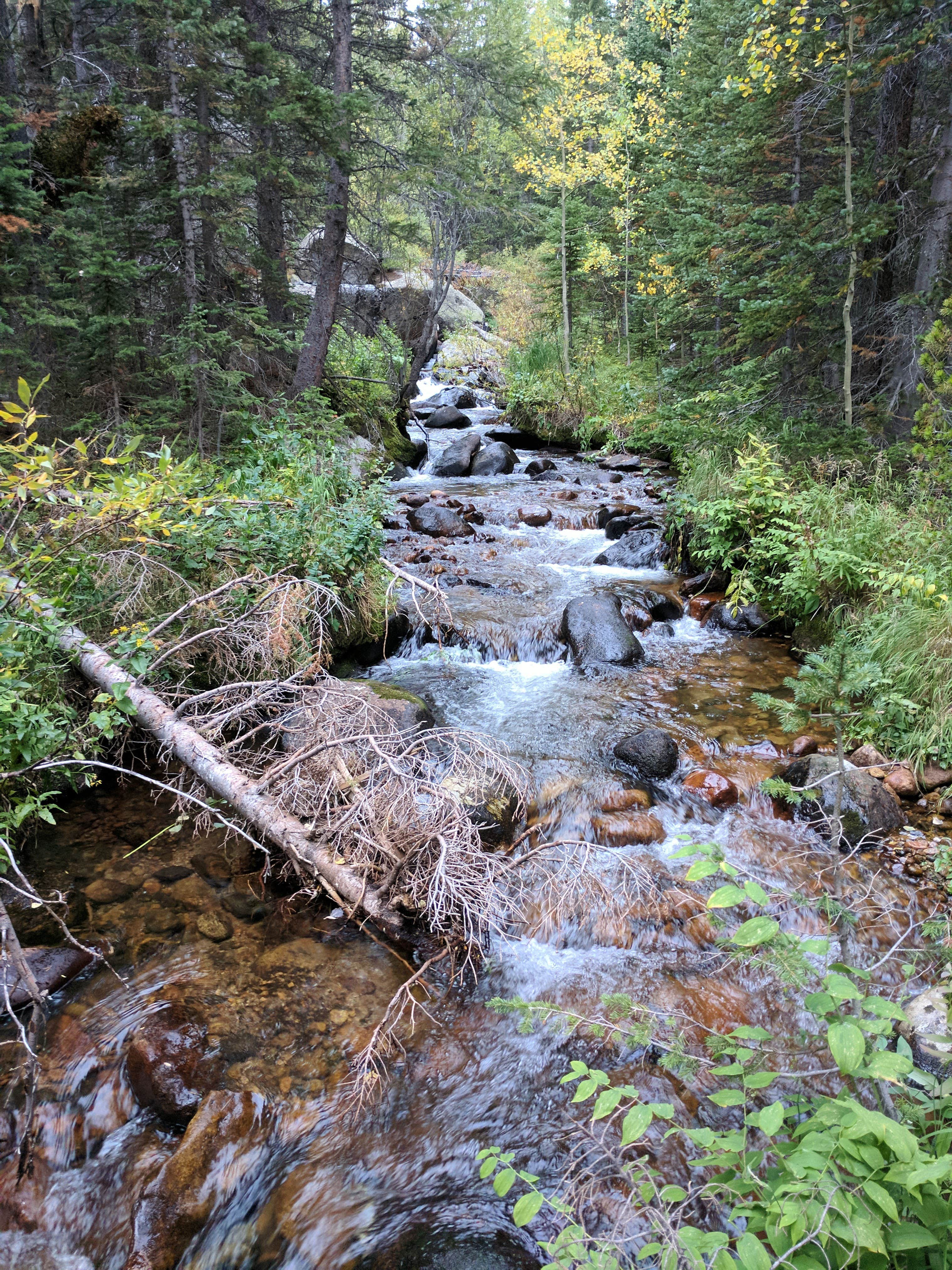 Camper submitted image from Beaver Mill Backcountry Campsite — Rocky Mountain National Park - 3