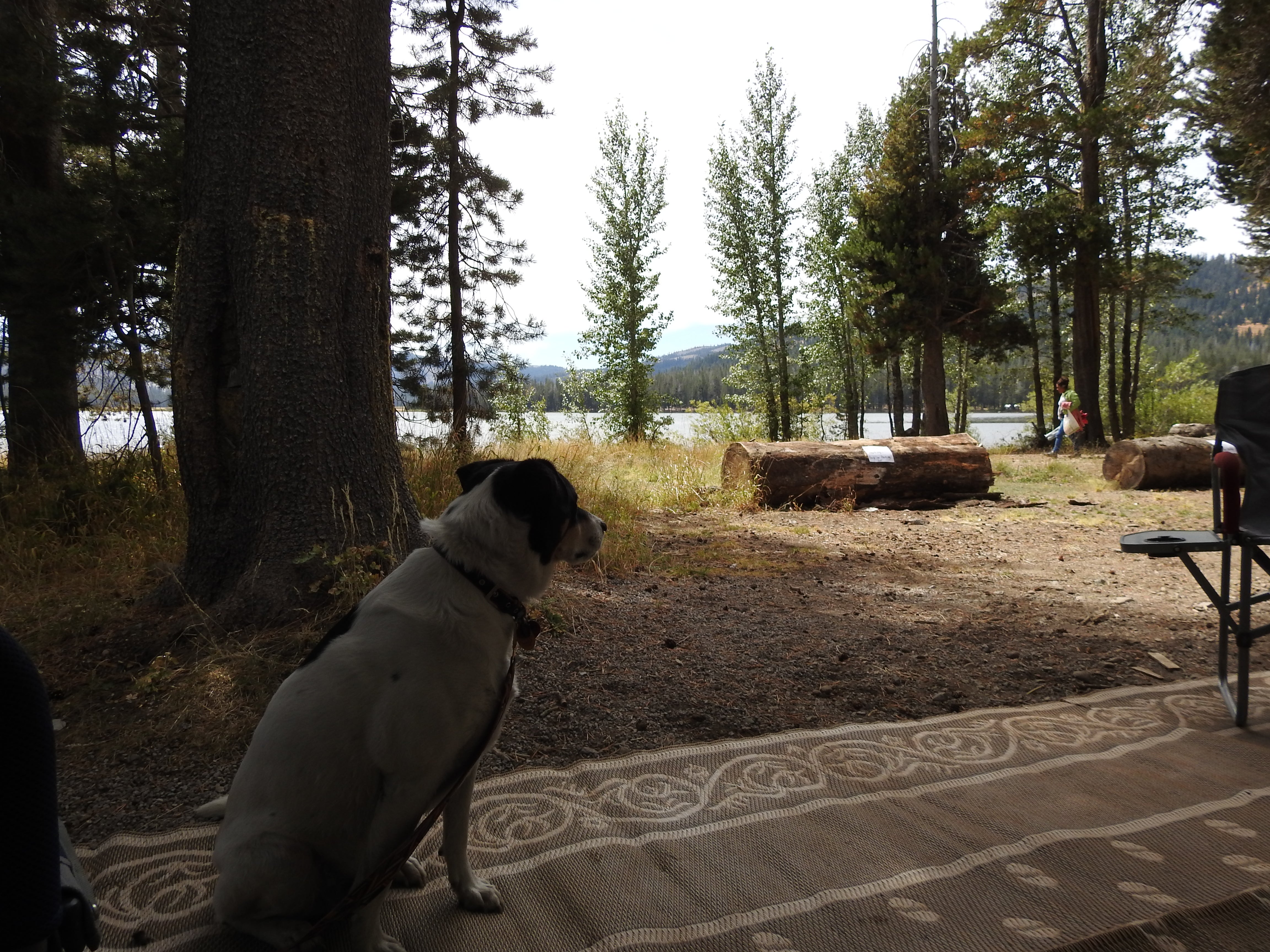 Camper submitted image from Webber Lake Campground - 5