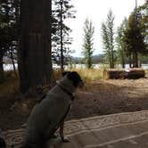 Review photo of Webber Lake Campground by Ed E., April 22, 2020