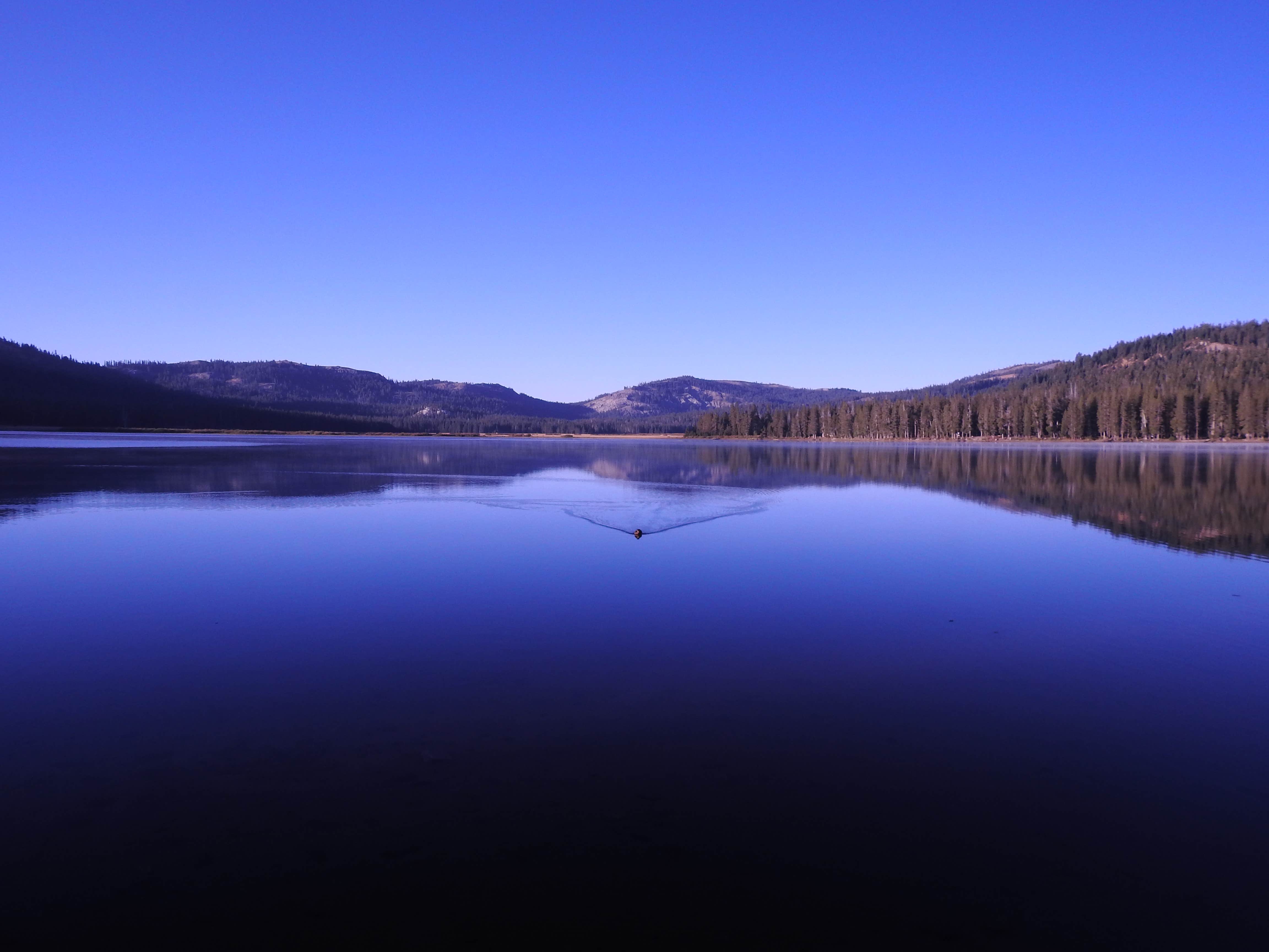 Camper submitted image from Webber Lake Campground - 2