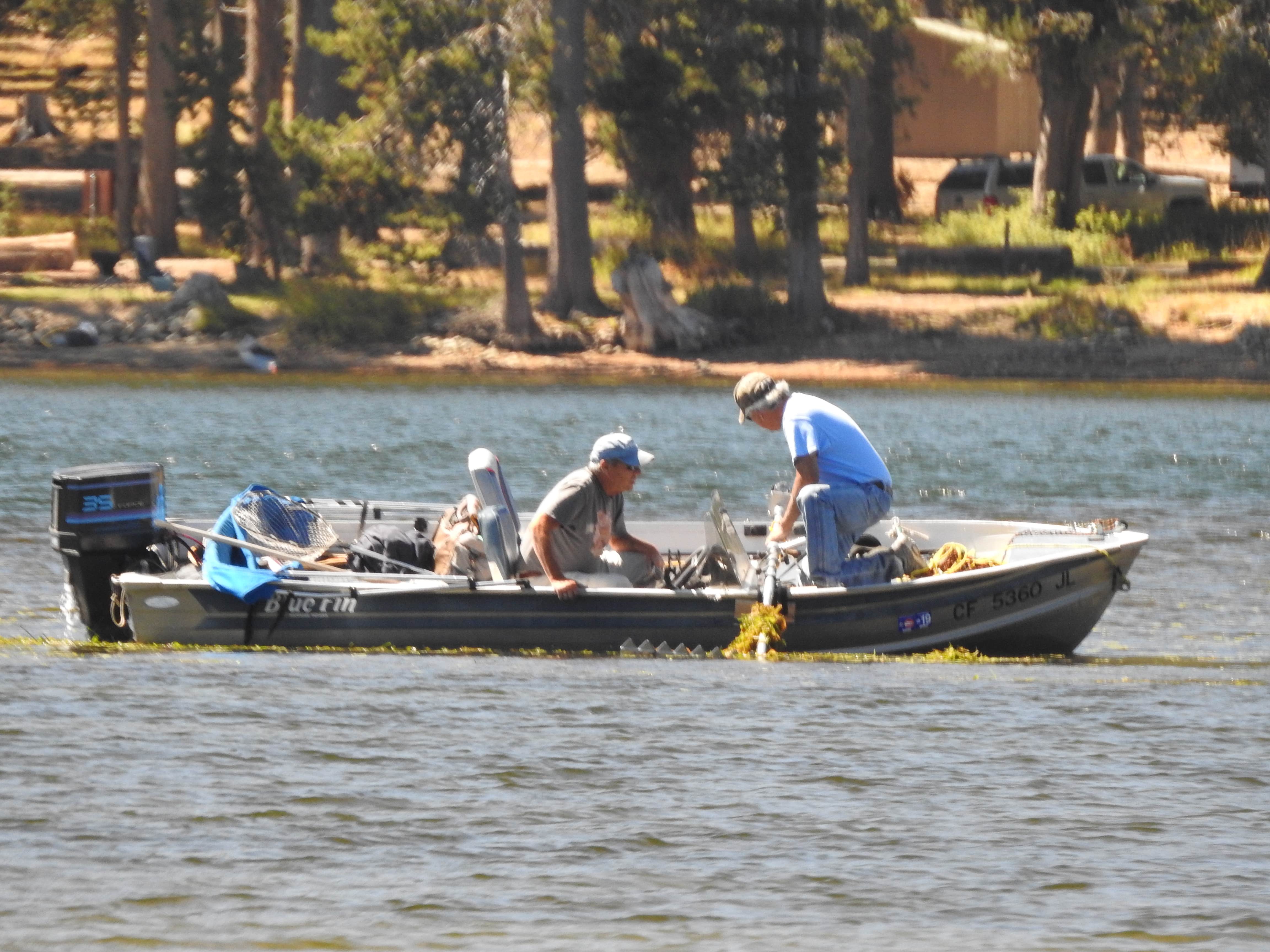 Camper submitted image from Webber Lake Campground - 3