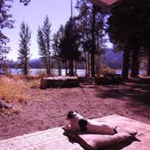 Review photo of Webber Lake Campground by Ed E., April 22, 2020