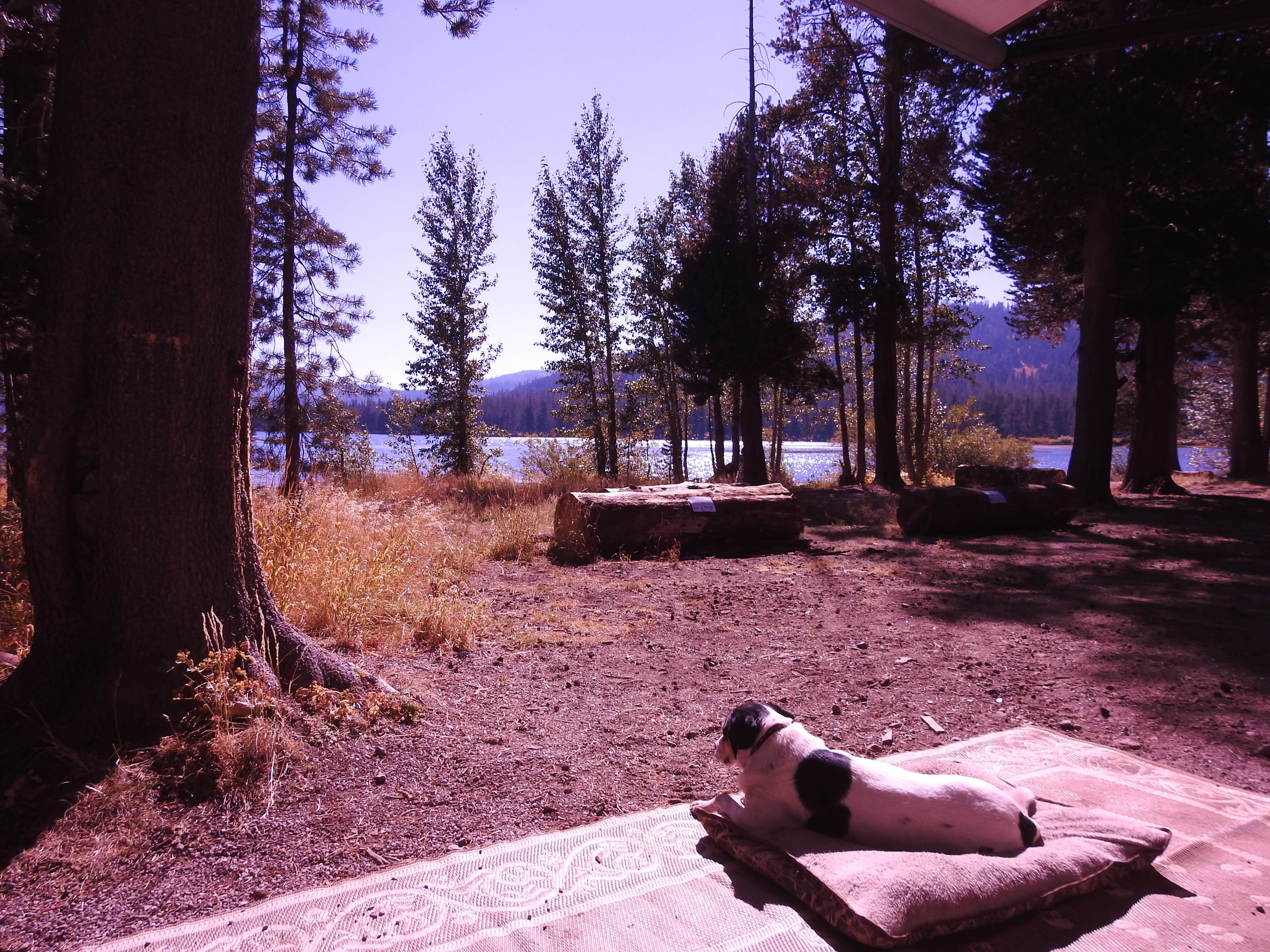 Camper submitted image from Webber Lake Campground - 4