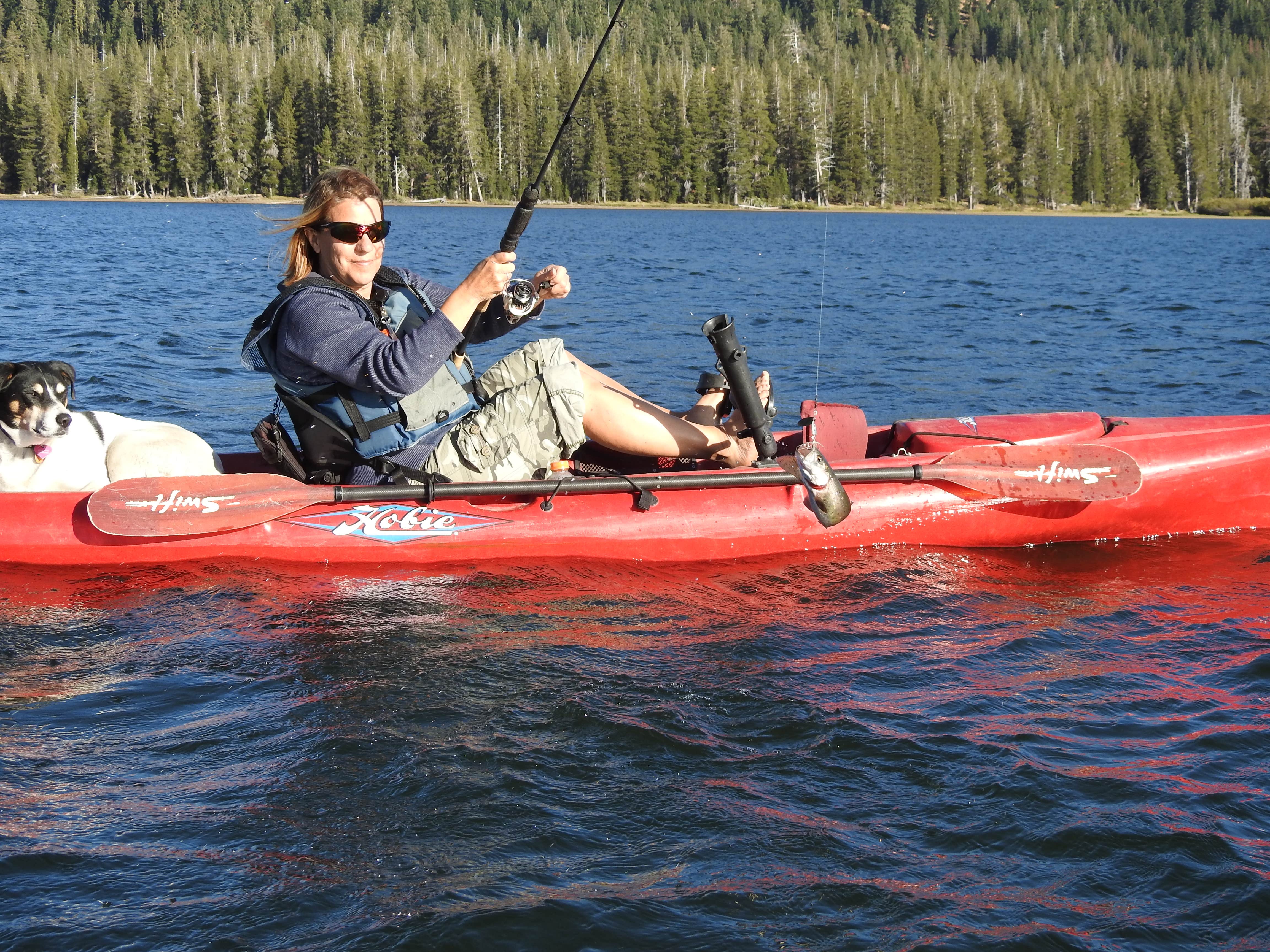 Ed E.'s photo of camping with pets at Webber Lake Campground near Truckee, CA