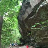 Review photo of Moccasin Branch Campground — Raven Rock State Park by Scott P., June 30, 2016