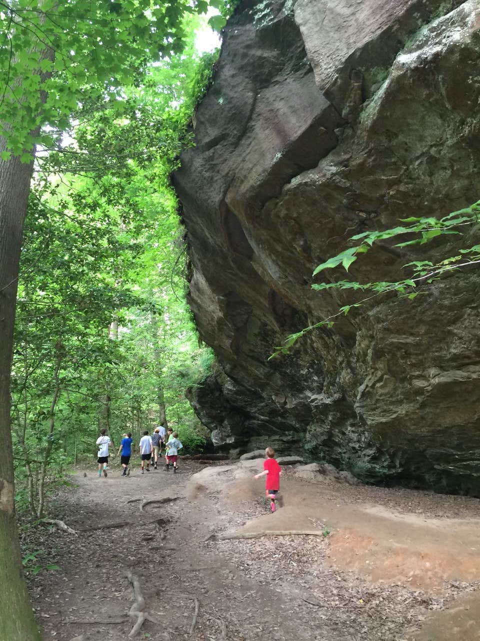 Camper submitted image from Moccasin Branch Campground — Raven Rock State Park - 2