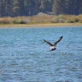 Review photo of Webber Lake Campground by Ed E., April 22, 2020