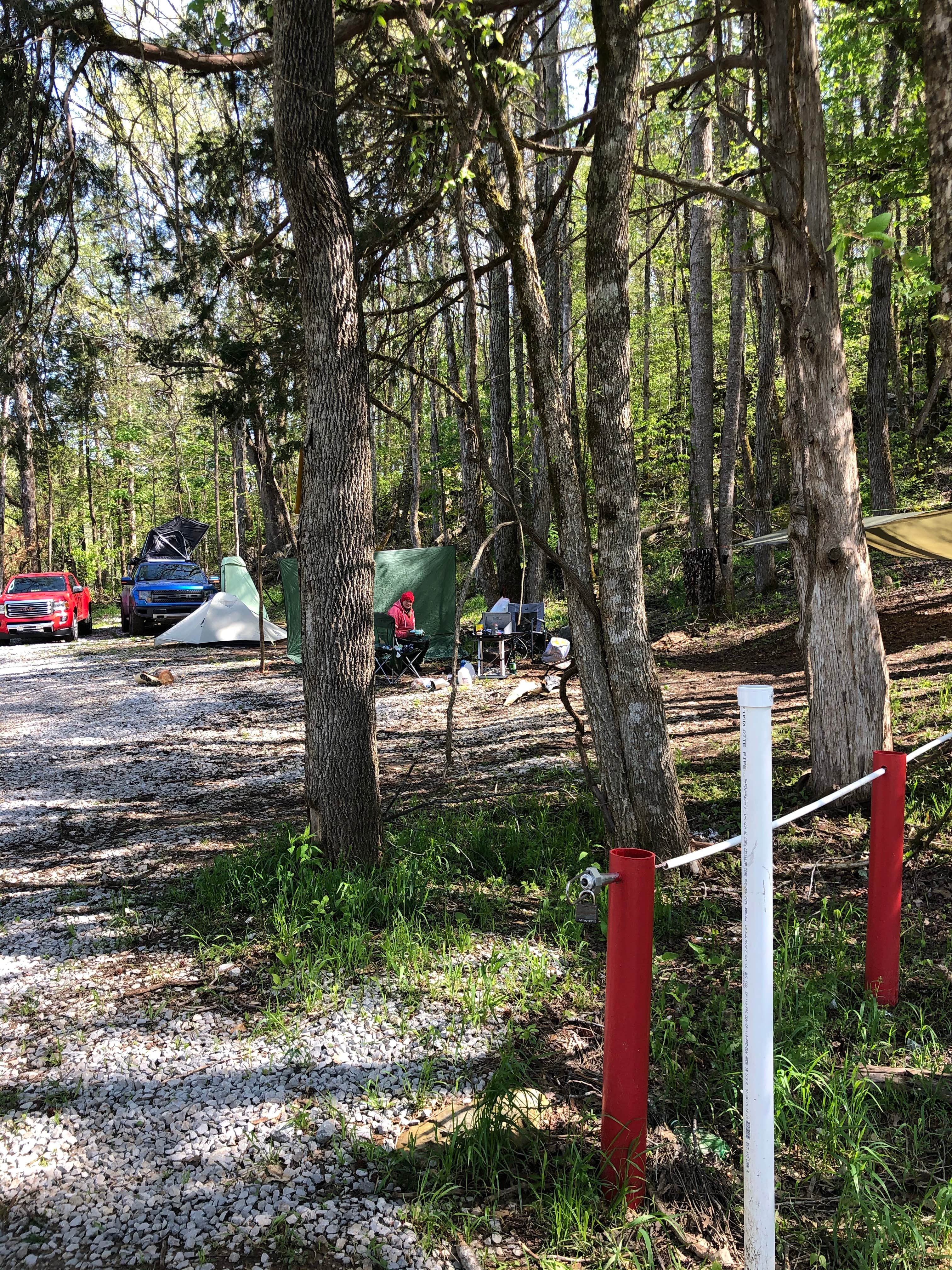 Lori H.'s photo of tent camping at Bridgestone Centennial Wldrns near Carthage, TN