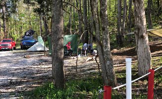 Lori H.'s photo of tent camping at Bridgestone Centennial Wldrns near Allardt, TN