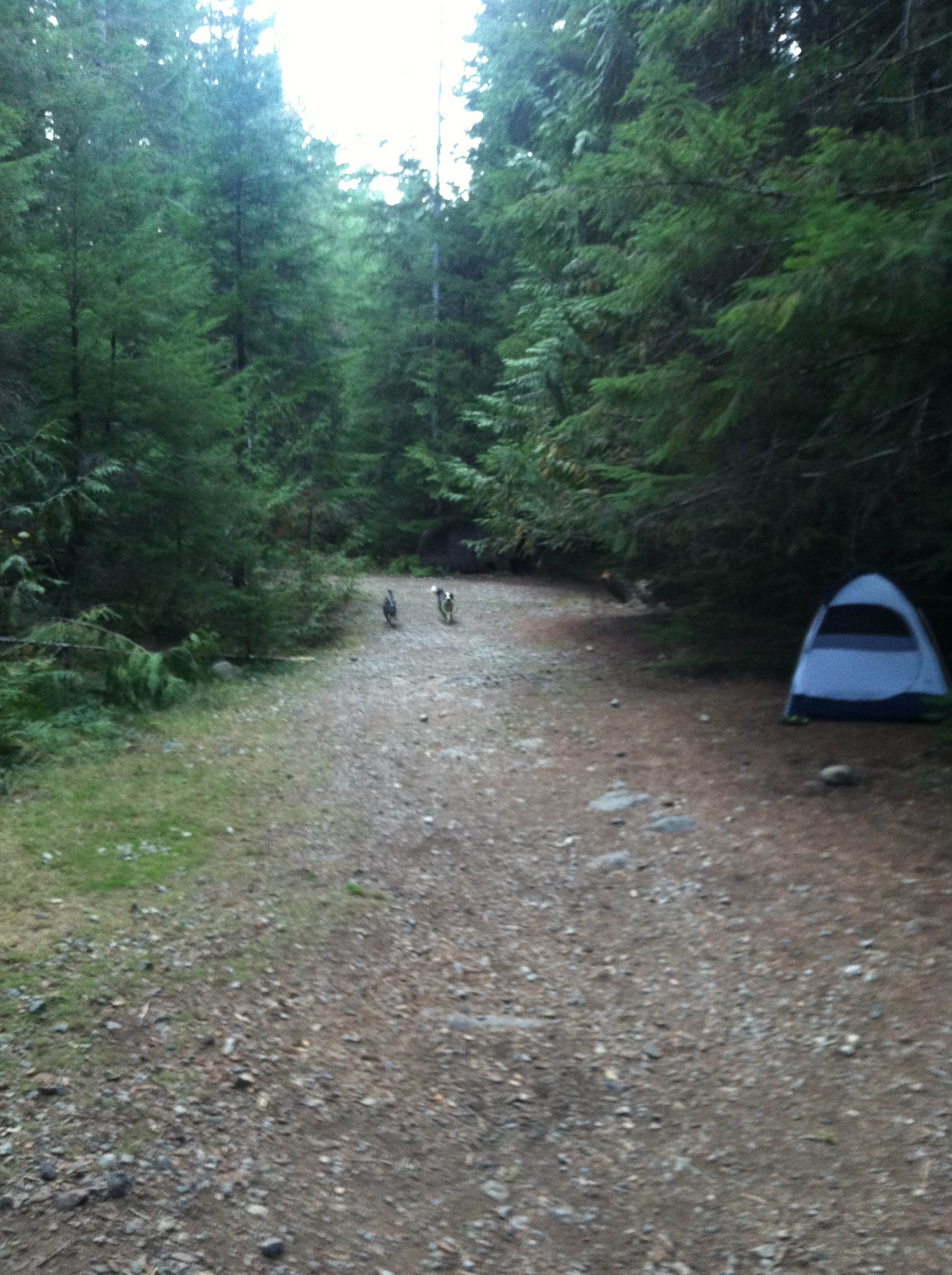 Ryan R.'s photo at Opal Pool Campsites near Gates, OR