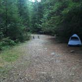 Review photo of Opal Pool Campsites by Ryan R., September 15, 2017