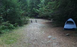 Ryan R.'s photo at Opal Pool Campsites near Gates, OR