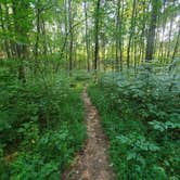 Review photo of Rock Island State Park Campground by Shea M., April 22, 2020