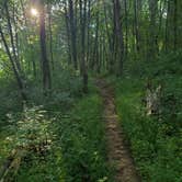 Review photo of Rock Island State Park Campground by Shea M., April 22, 2020