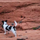 Review photo of Atlatl Rock Campground — Valley of Fire State Park by Brad F., April 22, 2020