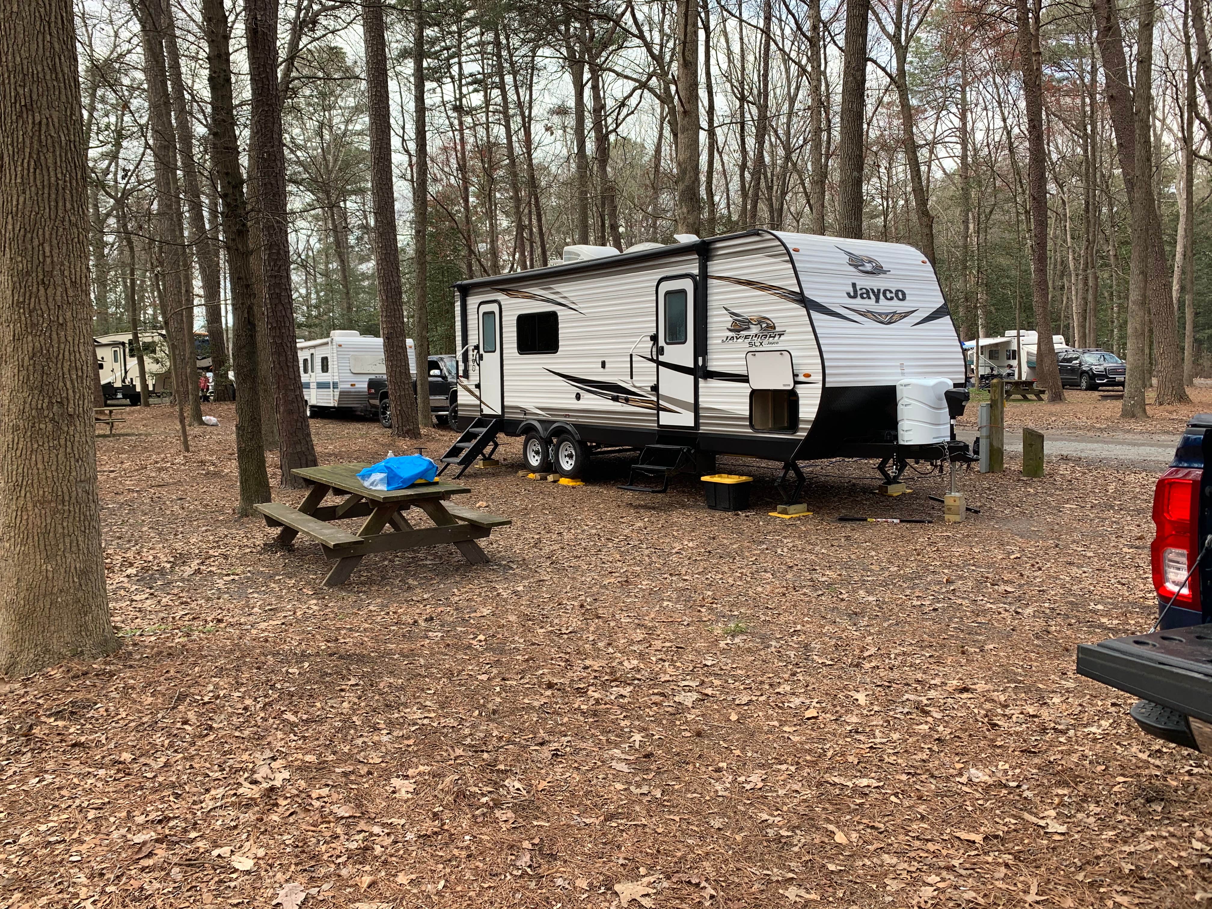 Laure D.'s photo at Trap Pond State Park Campground near Dagsboro, DE