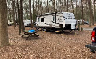 Laure D.'s photo at Trap Pond State Park Campground near Denton, MD